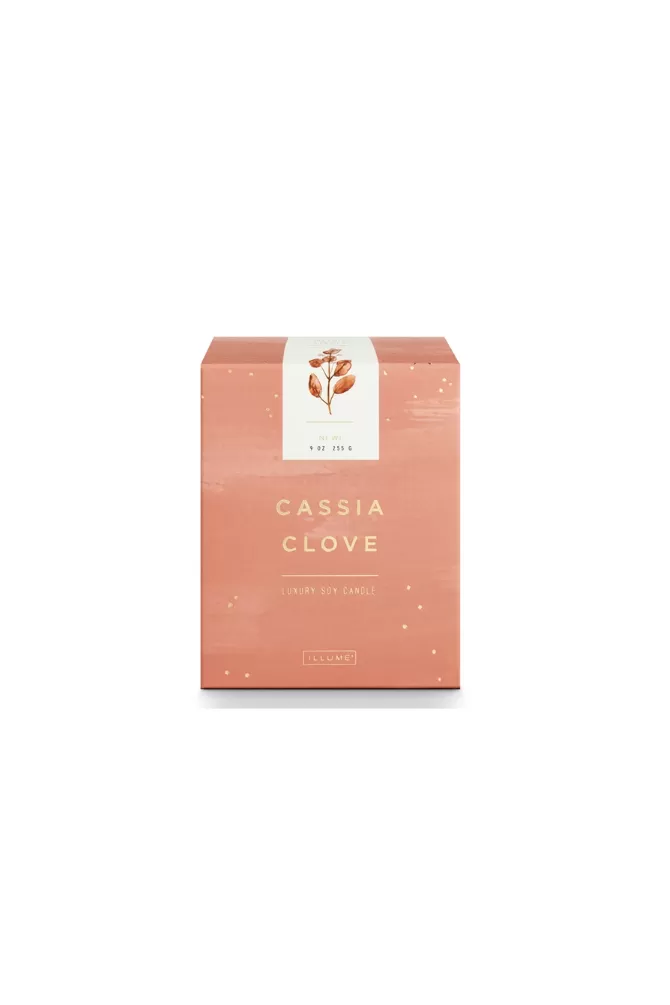 Illume Cassia Clove Candle