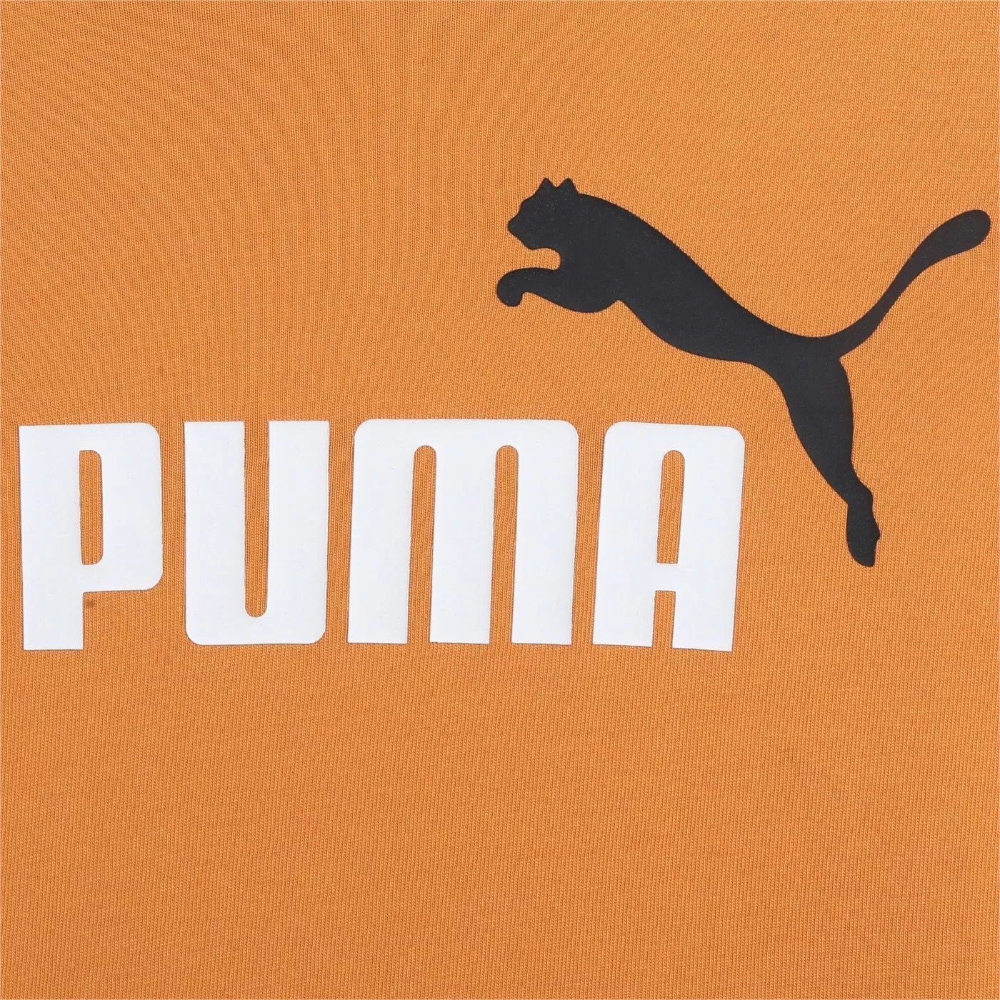 Puma children's t-shirt and shorts set Minicats 845839-91 ocher yellow