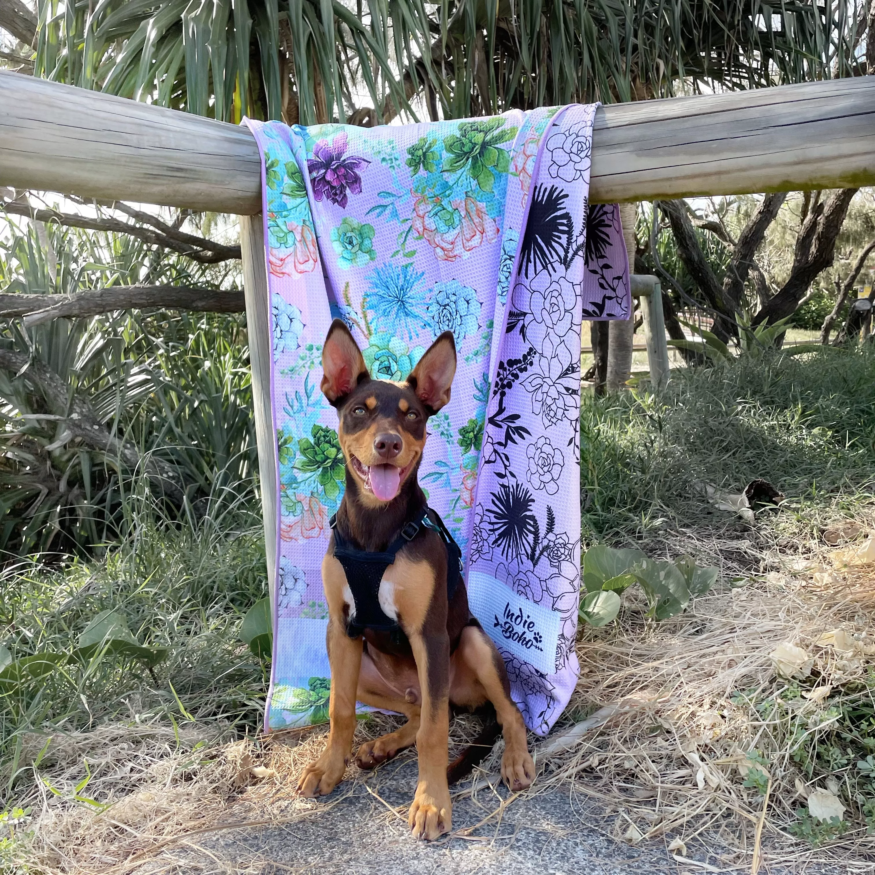 Succulent Medley Dog Travel and Bath Towel